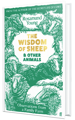 the-wisdom-of-sheep-book-cover-400